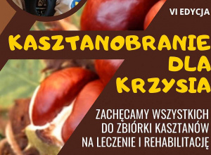 Zachęcamy wszystkich do zbiórki kasztanów na leczenia i rehabilitację Krzysia podopiecznego Fundacji ARIADNA oraz Fundacji Pomaganie jest Fajne