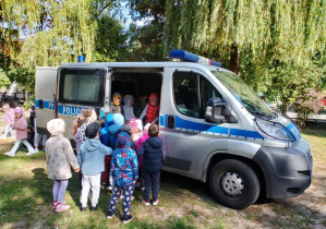 Zdjęcie 9 na 14