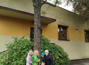 PRZYTUL SIĘ DO DRZEWA