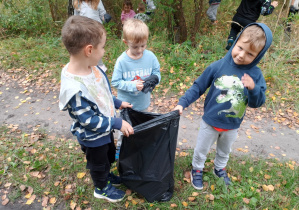 Zdjęcie 8 na 11