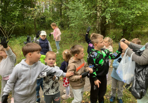 Zdjęcie 11 na 11